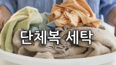 단체복 세탁 가격