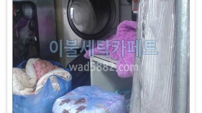 은평구 이불빨래 은평구 카페트세탁