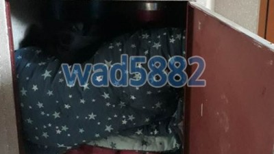 신사동 이랜드 아파트 이불세탁 수거완료