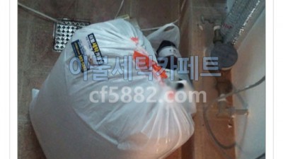 보일러실에 이불세탁 운동화세탁 수거 배달